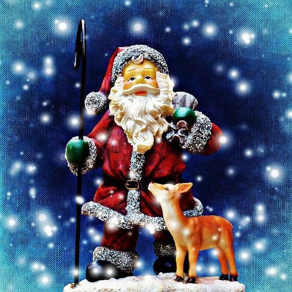 aeyde noel
