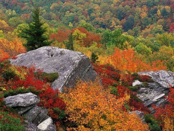 L'AUTOMNE