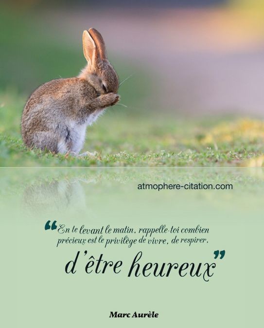 LES CITATIONS